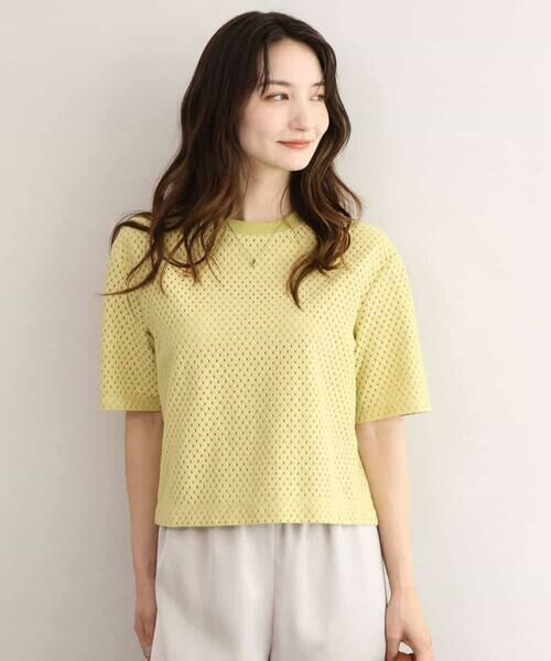 MK MICHEL KLEIN / エムケーミッシェルクラン カットソー | [洗える]ドット調アイレット レースTシャツ | 詳細1