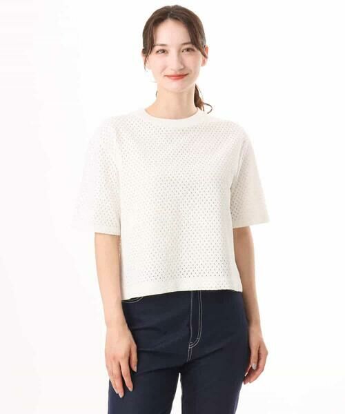 MK MICHEL KLEIN / エムケーミッシェルクラン カットソー | [洗える]ドット調アイレット レースTシャツ | 詳細19
