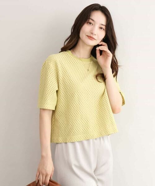 MK MICHEL KLEIN / エムケーミッシェルクラン カットソー | [洗える]ドット調アイレット レースTシャツ | 詳細2