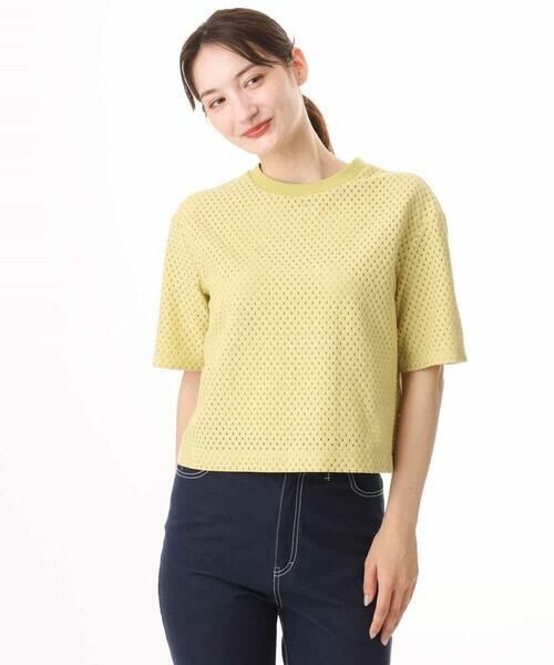 MK MICHEL KLEIN / エムケーミッシェルクラン カットソー | [洗える]ドット調アイレット レースTシャツ | 詳細26