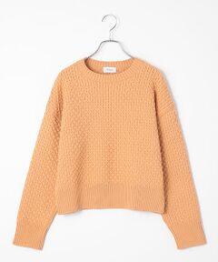 MOGA / モガ ニット・セーター | ヴィッテルスリムクルーネックショートニット