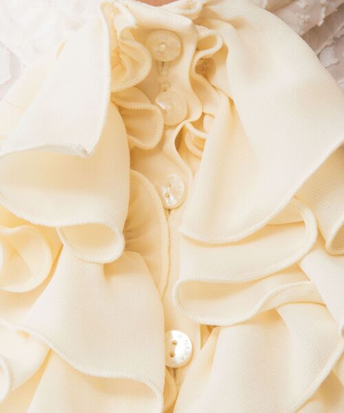 NARACAMICIE / ナラカミーチェ シャツ・ブラウス | 【NARACAMICIE】カットジャガードフリル長袖ブラウス | 詳細8