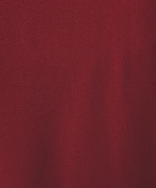 NARACAMICIE / ナラカミーチェ シャツ・ブラウス | 【NARACAMICIE】無地ジョーゼットフリル長袖ブラウス | 詳細20