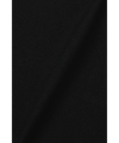 ＊＊NATURAL BEAUTY BASIC / ナチュラルビューティーベーシック カットソー | ラメフライスSSベアトップ | 詳細2