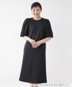 NEMIKA / ネミカ ドレス | 【セレモニー】切替バルーンスリーブワンピース【NEMIKA】