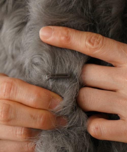 NEMIKA / ネミカ テーラードジャケット | ファーベスト【DRAWELL】 | 詳細12