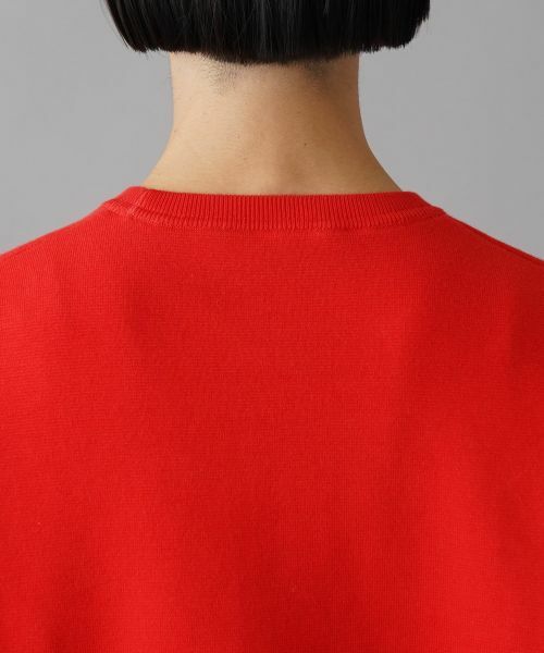 NEMIKA / ネミカ ニット・セーター | クルーネックニットプルオーバー【NEMIKA】 | 詳細14