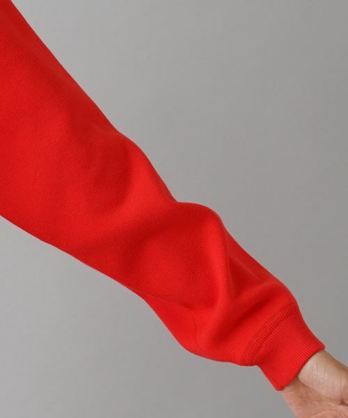 NEMIKA / ネミカ ニット・セーター | クルーネックニットプルオーバー【NEMIKA】 | 詳細16