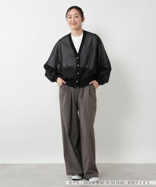 NEMIKA / ネミカ シャツ・ブラウス | シアーVネックブラウス【PASSIONE】 | 詳細1