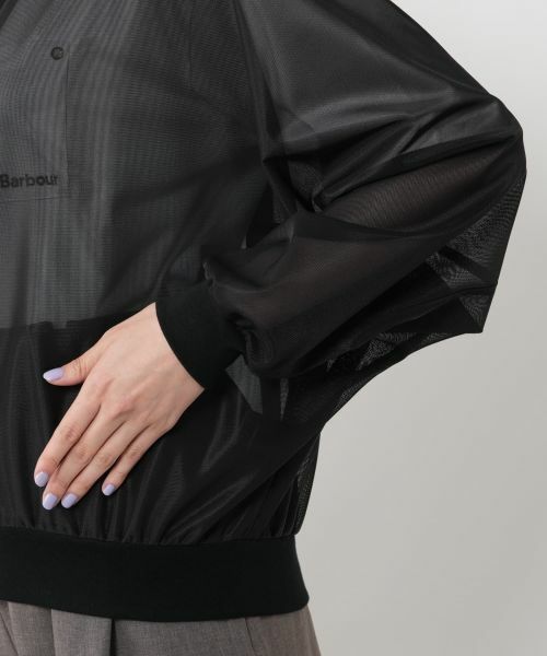 NEMIKA / ネミカ シャツ・ブラウス | シアーVネックブラウス【PASSIONE】 | 詳細10