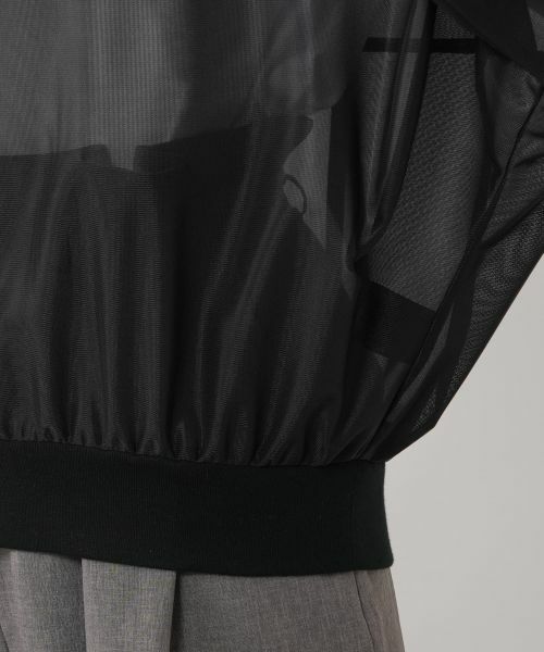 NEMIKA / ネミカ シャツ・ブラウス | シアーVネックブラウス【PASSIONE】 | 詳細11
