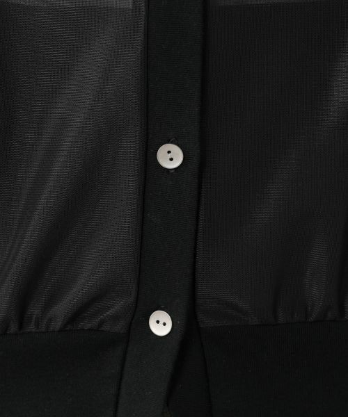 NEMIKA / ネミカ シャツ・ブラウス | シアーVネックブラウス【PASSIONE】 | 詳細12