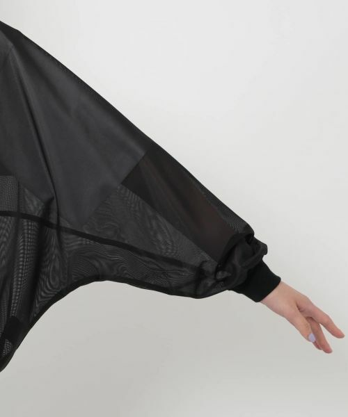 NEMIKA / ネミカ シャツ・ブラウス | シアーVネックブラウス【PASSIONE】 | 詳細9