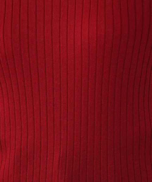 NEMIKA / ネミカ ニット・セーター | ハイネックリブニット【NEMIKA】 | 詳細15