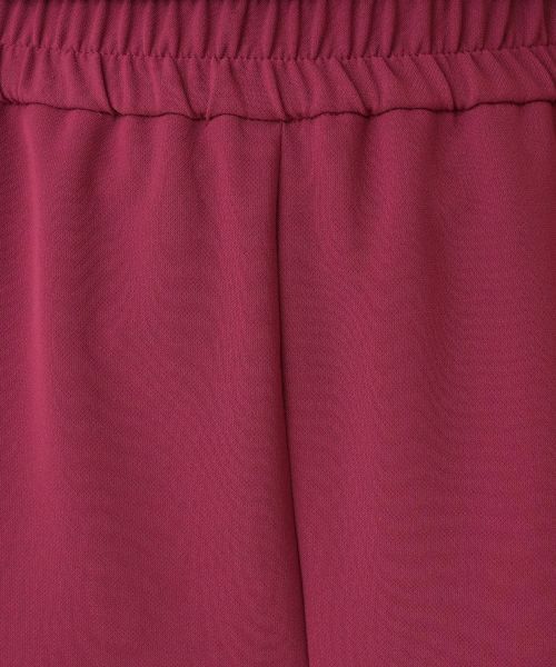 NEMIKA / ネミカ その他パンツ | ストレッチテーパードパンツ【NEMIKA】 | 詳細23