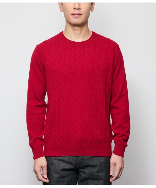 NEWYORKER / ニューヨーカー ニット・セーター | カシミヤ ケーブルクルーネック プルオーバーニット | 詳細9