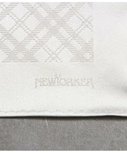 NEWYORKER / ニューヨーカー その他小物 | Mantero シャドーニューヨーカータータン フォーマルチーフ | 詳細2