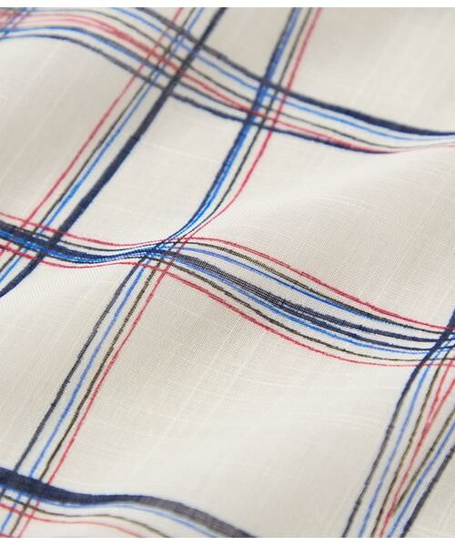 NEWYORKER L-SIZE / ニューヨーカー エルサイズ シャツ・ブラウス | シアースウィングチェック フレアスリーブブラウス | 詳細12