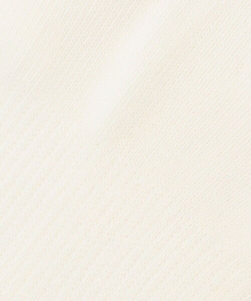 23区GOLF / ニジュウサンンクゴルフ ソックス | 【MEN】ロゴレギュラーソックス 18cm | 詳細3