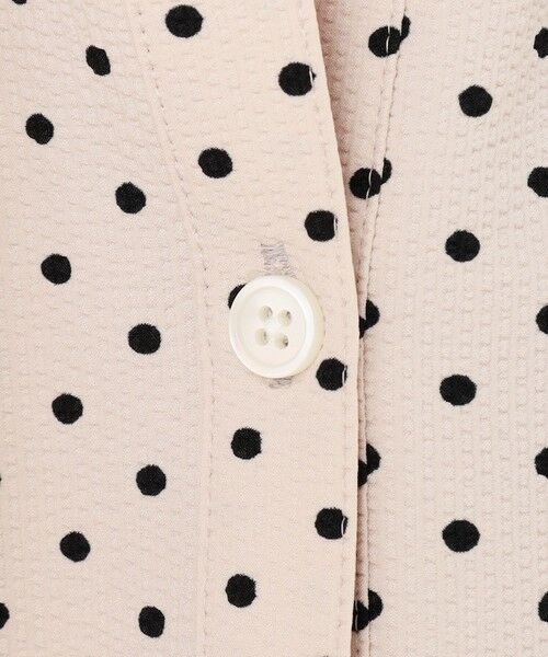 23区 / ニジュウサンク シャツ・ブラウス | 【WEB&一部店舗限定/洗える】ドットプリント サッカー ブラウス | 詳細24