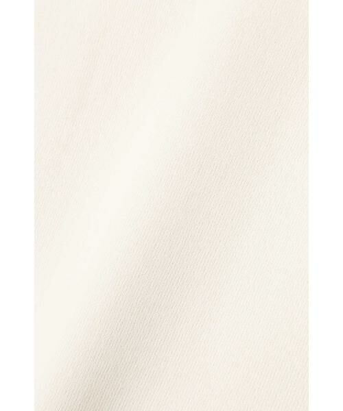 ＊＊N.Natural Beauty Basic / エヌ ナチュラルビューティーベーシック ニット・セーター | 総針コンパクトVネックニット | 詳細30