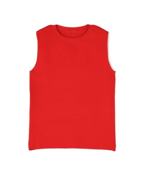 ＊＊N.Natural Beauty Basic / エヌ ナチュラルビューティーベーシック ニット・セーター | ミラノリブノースリーブニット | 詳細1