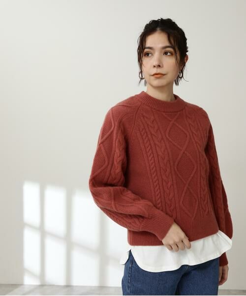 ＊＊N.Natural Beauty Basic / エヌ ナチュラルビューティーベーシック ニット・セーター | ハミルトン　プルオーバーニット | 詳細4