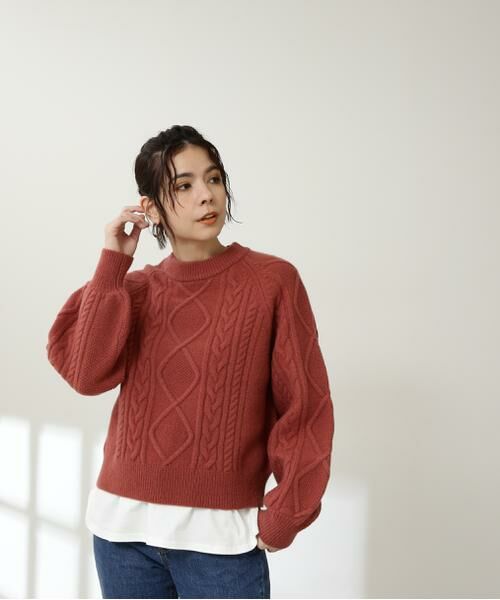 ＊＊N.Natural Beauty Basic / エヌ ナチュラルビューティーベーシック ニット・セーター | ハミルトン　プルオーバーニット（レッド）