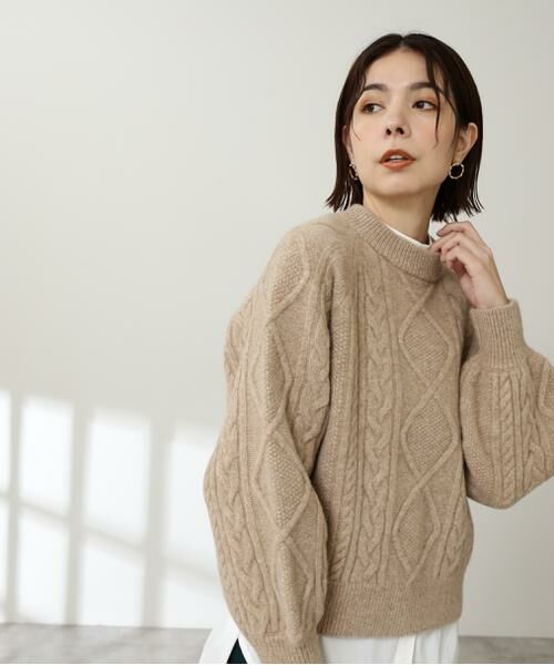 ＊＊N.Natural Beauty Basic / エヌ ナチュラルビューティーベーシック ニット・セーター | ハミルトン　プルオーバーニット（ベージュ）