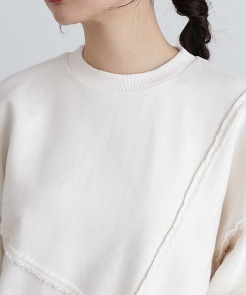 ＊＊N.Natural Beauty Basic / エヌ ナチュラルビューティーベーシック カットソー | パネルデザインスウェット | 詳細11