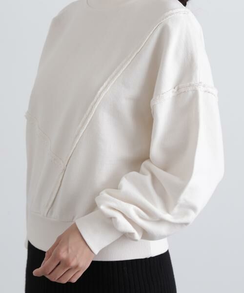＊＊N.Natural Beauty Basic / エヌ ナチュラルビューティーベーシック カットソー | パネルデザインスウェット | 詳細12