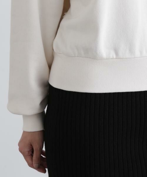 ＊＊N.Natural Beauty Basic / エヌ ナチュラルビューティーベーシック カットソー | パネルデザインスウェット | 詳細13