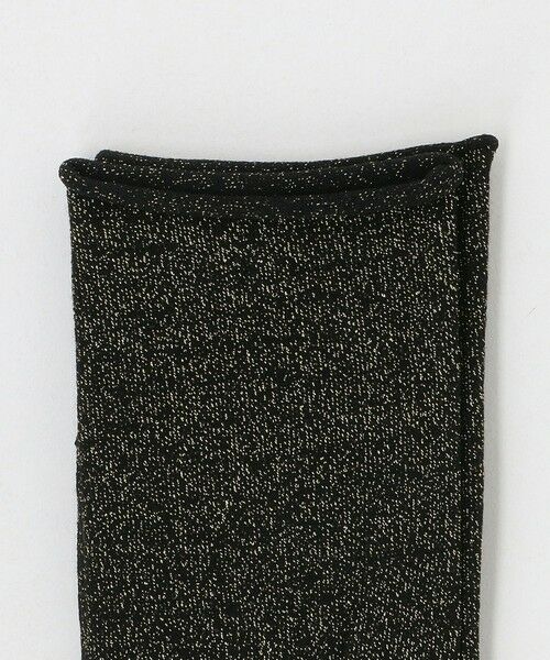 ODETTE E ODILE / オデット エ オディール ソックス | ＜FALKE＞ Shiny Socks | 詳細2