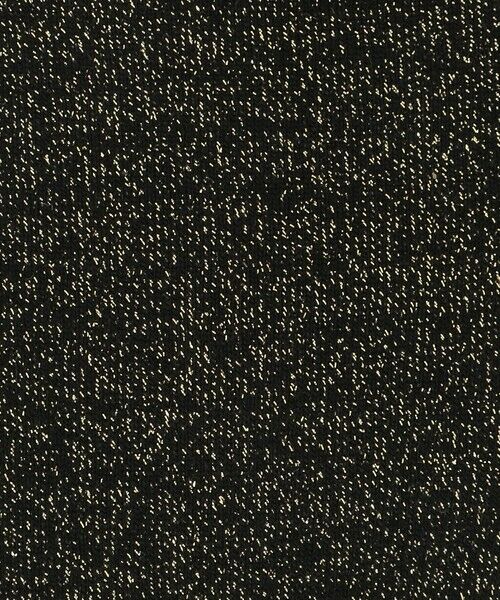 ODETTE E ODILE / オデット エ オディール ソックス | ＜FALKE＞ Shiny Socks | 詳細3