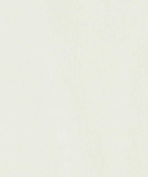 ODETTE E ODILE / オデット エ オディール ソックス | ＜FALKE＞ Color  Socks | 詳細1