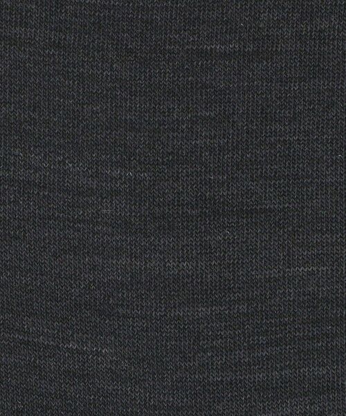 ODETTE E ODILE / オデット エ オディール ソックス | ＜FALKE＞ Color  Socks | 詳細4