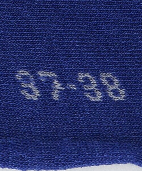 ODETTE E ODILE / オデット エ オディール ソックス | ＜FALKE＞ Color  Socks | 詳細11