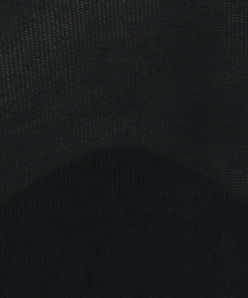 ODETTE E ODILE / オデット エ オディール ソックス | ＜FALKE＞ Elegant Step | 詳細1