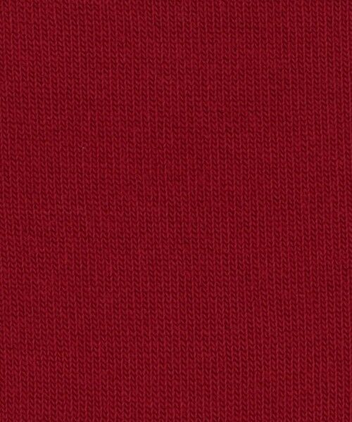 ODETTE E ODILE / オデット エ オディール ソックス | ＜FALKE＞ Active Breeze | 詳細13