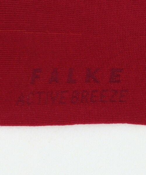 ODETTE E ODILE / オデット エ オディール ソックス | ＜FALKE＞ Active Breeze | 詳細16