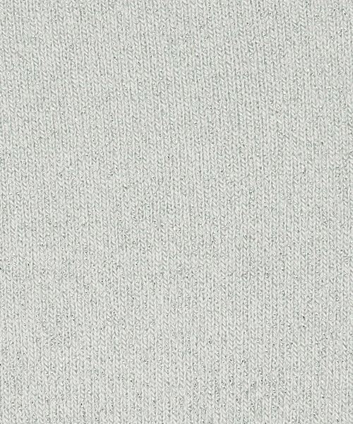 ODETTE E ODILE / オデット エ オディール ソックス | ＜FALKE＞ Shiny socks | 詳細1