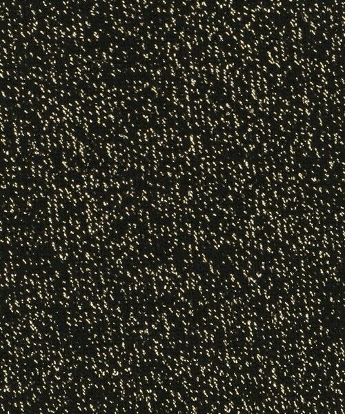 ODETTE E ODILE / オデット エ オディール ソックス | ＜FALKE＞ Shiny socks | 詳細4