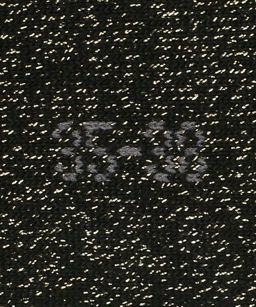 ODETTE E ODILE / オデット エ オディール ソックス | ＜FALKE＞ Shiny socks | 詳細5