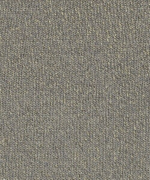 ODETTE E ODILE / オデット エ オディール ソックス | ＜FALKE＞ Shiny socks | 詳細10