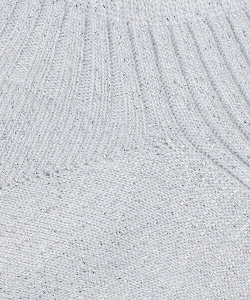 ODETTE E ODILE / オデット エ オディール ソックス | ＜FALKE＞ Shiny Rib Sneaker | 詳細1