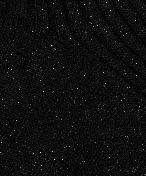 ODETTE E ODILE / オデット エ オディール ソックス | ＜FALKE＞ Shiny Rib Sneaker | 詳細3