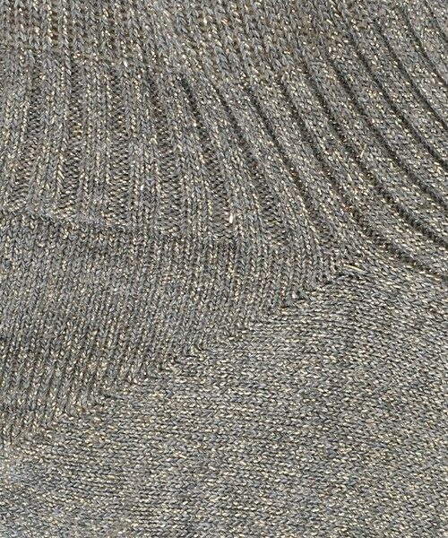 ODETTE E ODILE / オデット エ オディール ソックス | ＜FALKE＞ Shiny Rib Sneaker | 詳細5