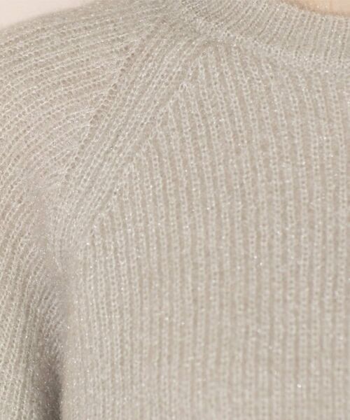 OPAQUE.CLIP / オペーク ドット クリップ ニット・セーター | クリアシャギークルーネックニット【洗える】 | 詳細21