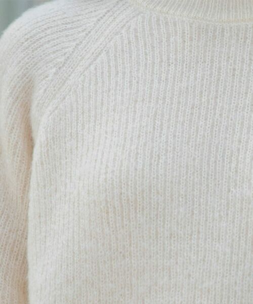 OPAQUE.CLIP / オペーク ドット クリップ ニット・セーター | クリアシャギークルーネックニット【洗える】 | 詳細8