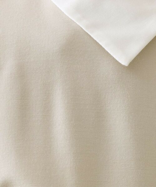 OPAQUE.CLIP / オペーク ドット クリップ カットソー | 襟付きドルマントップス【洗濯機OK】 | 詳細14